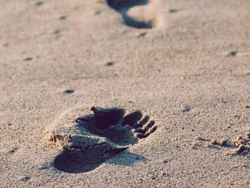 Node.js 微服务架构实战